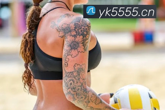 半岛官网在线登录APP 封面图